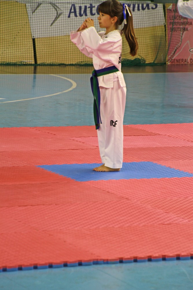 Taekwondo Dic 2016 (182).jpg
